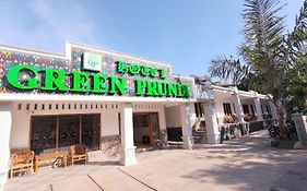 Hotel Green Prundi